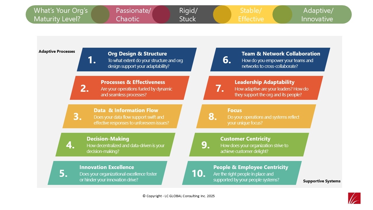 Higher Res - LC GLOBAL _ Adaptive Organization Design_2025