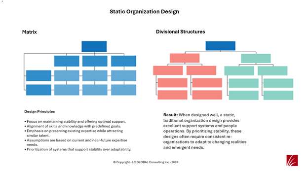 LC GLOBAL Consulting Inc - Benefits of Traditional, Static Organization Designs Regarding Expertise - 2024