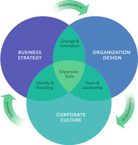 Systemic, Strength-Based, Collaborative Organization Design & Development 